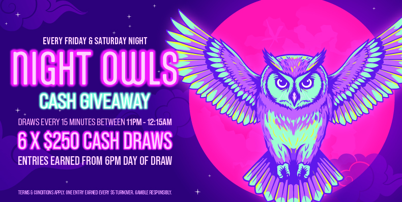 NightOwls_WebTile V2