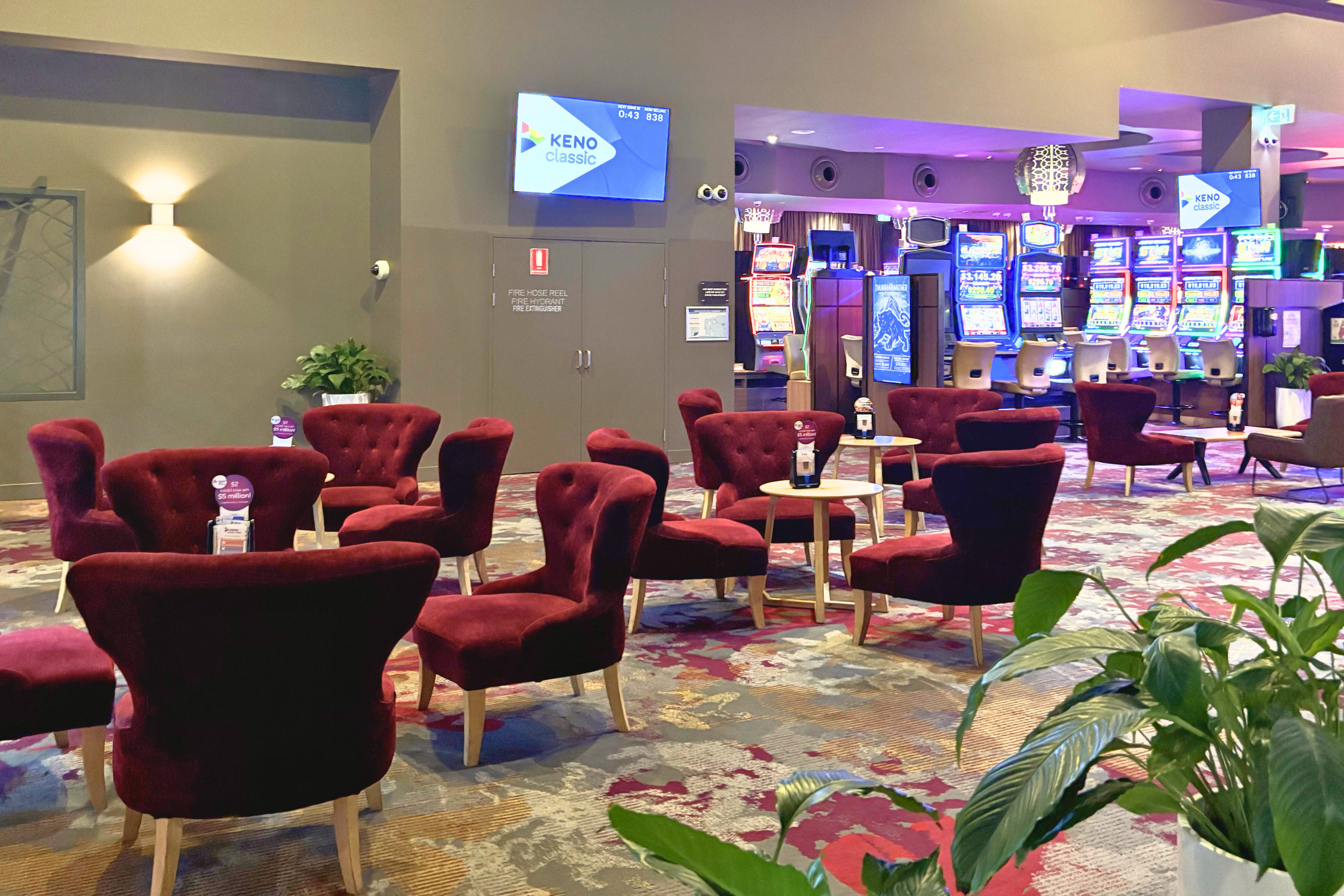 Sunnybank_Dice-Dice-Baby_Web-Tile-500x300